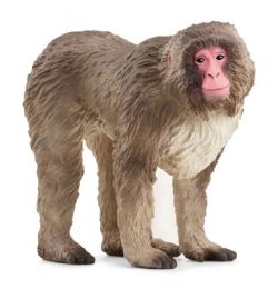 SCHLEICH - MACAQUE JAPONAIS #14871